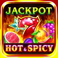 Mega Fortune slot preview